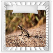 Lizard On Stone Nursery Decor 66973704
