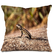 Lizard On Stone Pillows 66973704
