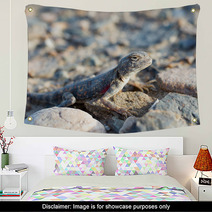 Lizard Wall Art 67520870