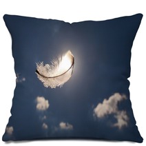 Lone Feather Int He Sky Pillows 101083089