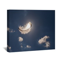 Lone Feather Int He Sky Wall Art 101083089