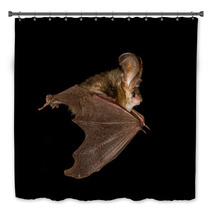  Long-eared Bat Flying On The Dark Night Bath Decor 97089803
