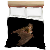  Long-eared Bat Flying On The Dark Night Bedding 97089803