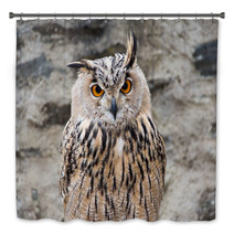 Long-eared Owl Portrait Bath Decor 54622060