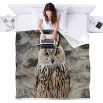 Long-eared Owl Portrait Blankets 54622060