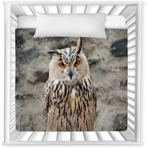 Long-eared Owl Portrait Nursery Decor 54622060