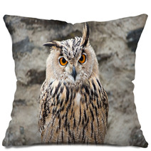 Long-eared Owl Portrait Pillows 54622060