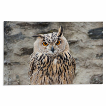 Long-eared Owl Portrait Rugs 54622060