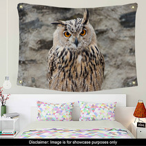 Long-eared Owl Portrait Wall Art 54622060