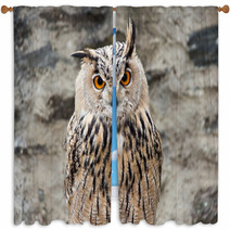 Long-eared Owl Portrait Window Curtains 54622060