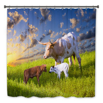 Longhorn Cow And Calves Grazing At Sunrise Bath Decor 67513605