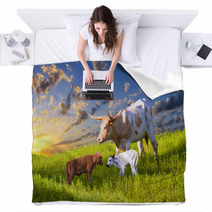 Longhorn Cow And Calves Grazing At Sunrise Blankets 67513605