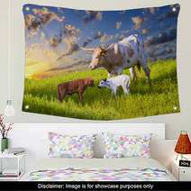 Longhorn Cow And Calves Grazing At Sunrise Wall Art 67513605