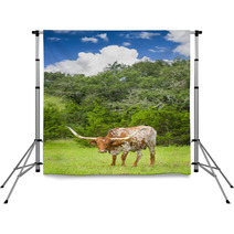 Longhorn Cow Backdrops 67409498