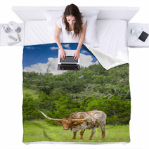 Longhorn Cow Blankets 67409498