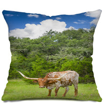 Longhorn Cow Pillows 67409498