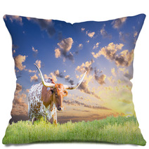 Longhorn Cow Pillows 68771065
