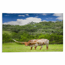 Longhorn Cow Rugs 67409498