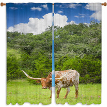 Longhorn Cow Window Curtains 67409498