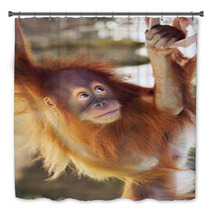 Look Up Of An Orangutan Baby In Backlight. A Little Great Ape Is Going To Be An Alpha Male. Human Like Monkey Cub In Shaggy Red Fur. Beauty Of The Wildlife. Bath Decor 99105801