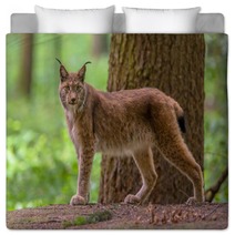 Looking Eurasian Lynx Bedding 83714085