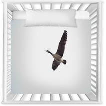 Looking Up At A Goose In Flight Nursery Decor 98403912