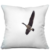 Looking Up At A Goose In Flight Pillows 98403912