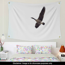 Looking Up At A Goose In Flight Wall Art 98403912
