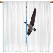 Looking Up At A Goose In Flight Window Curtains 98403912