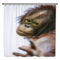Lovely Orangutan Portrait Close Up Bath Decor 94632347