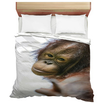 Lovely Orangutan Portrait Close Up Bedding 94632347