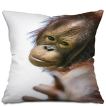 Lovely Orangutan Portrait Close Up Pillows 94632347