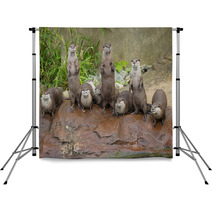 Lovely Playful Otters In Symmetrical Stand Backdrops 62879847