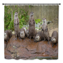 Lovely Playful Otters In Symmetrical Stand Bath Decor 62879847