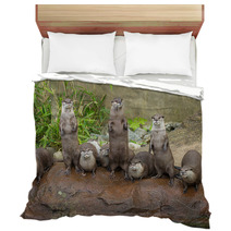Lovely Playful Otters In Symmetrical Stand Bedding 62879847