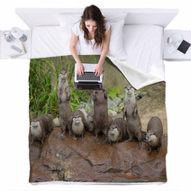 Lovely Playful Otters In Symmetrical Stand Blankets 62879847