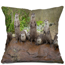 Lovely Playful Otters In Symmetrical Stand Pillows 62879847