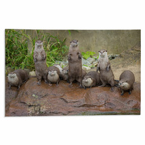 Lovely Playful Otters In Symmetrical Stand Rugs 62879847