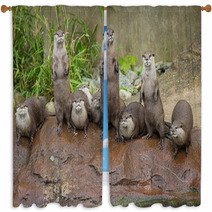 Lovely Playful Otters In Symmetrical Stand Window Curtains 62879847