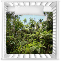 Lush Jungle Nursery Decor 6013487