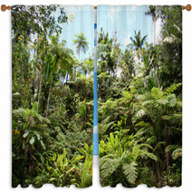 Lush Jungle Window Curtains 6013487