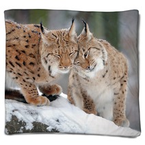 Lynx Blankets 61093973