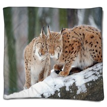 Lynx Blankets 61093977