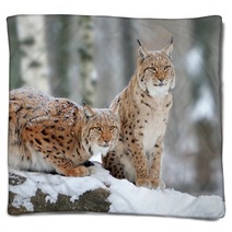 Lynx Blankets 61094014