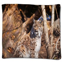 Lynx In Park Blankets 71112865