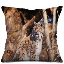 Lynx In Park Pillows 71112865