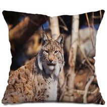 Lynx In Park Pillows 86490972