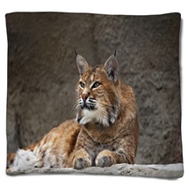 Lynx Lying On The Stone Blankets 94264604