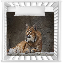 Lynx Lying On The Stone Nursery Decor 94264604
