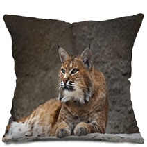 Lynx Lying On The Stone Pillows 94264604